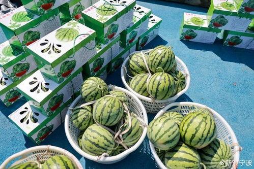 娱乐吃瓜甜,揭秘明星们的甜蜜生活 第3张 娱乐吃瓜甜,揭秘明星们的甜蜜生活 第3张